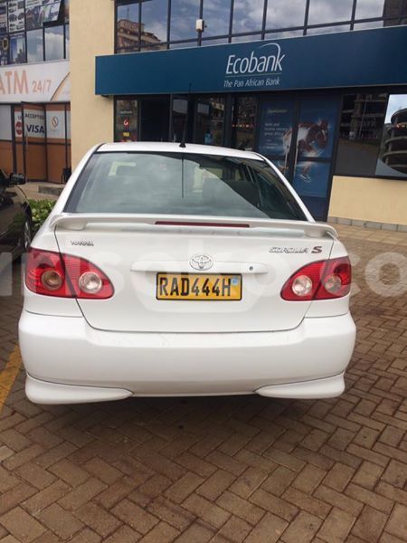 Big with watermark 14937420 10210899464142563 5142262507148257599 n