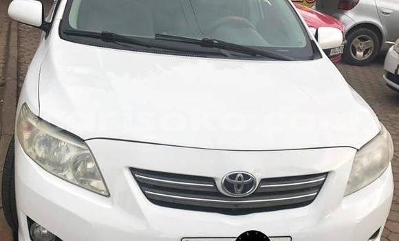 Buy Used Toyota Corolla White Car in Kigali in Rwanda Buy Used Toyota Corolla White Car in Kigali in Rwanda