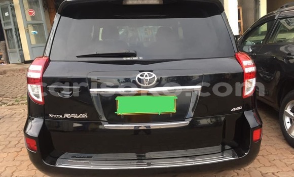 Buy Used Toyota RAV4 Black Car in Kigali in Rwanda Buy Used Toyota RAV4 Black Car in Kigali in Rwanda