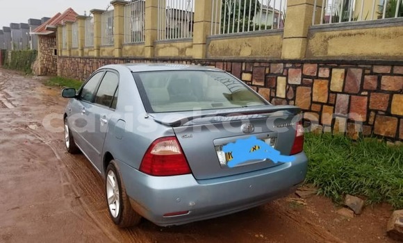 Buy Used Toyota Corolla Blue Car in Kigali in Rwanda Buy Used Toyota Corolla Blue Car in Kigali in Rwanda