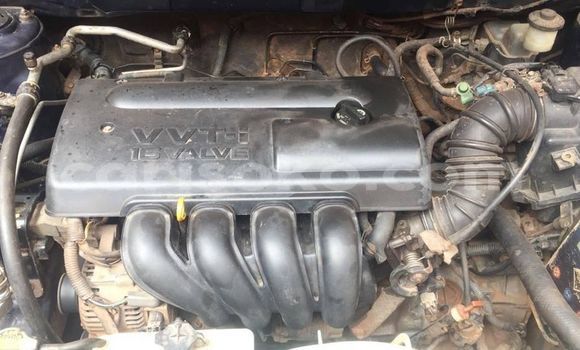 Buy Used Toyota Corolla Blue Car in Kigali in Rwanda Buy Used Toyota Corolla Blue Car in Kigali in Rwanda