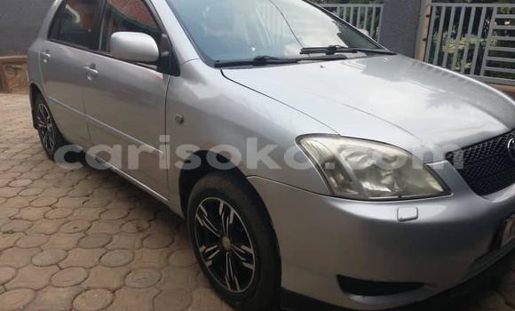 Buy Used Toyota Corolla Silver Car in Kigali in Rwanda Buy Used Toyota Corolla Silver Car in Kigali in Rwanda
