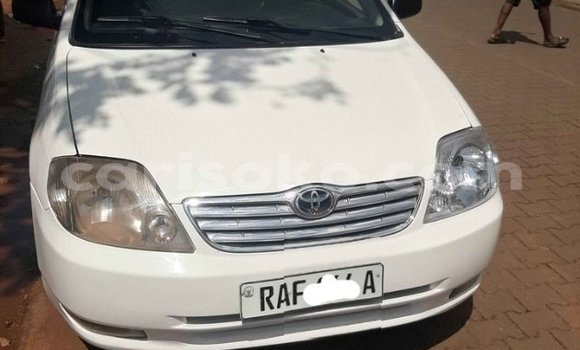 اشتري مستعمل Toyota Corolla Blanc سيارة في Kigali في Rwanda اشتري مستعمل Toyota Corolla Blanc سيارة في Kigali في Rwanda