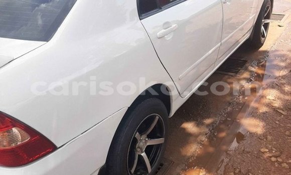 اشتري مستعمل Toyota Corolla Blanc سيارة في Kigali في Rwanda اشتري مستعمل Toyota Corolla Blanc سيارة في Kigali في Rwanda