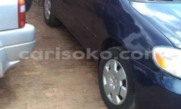 اشتري مستعمل Toyota Corolla Bleu سيارة في Kigali في Rwanda اشتري مستعمل Toyota Corolla Bleu سيارة في Kigali في Rwanda