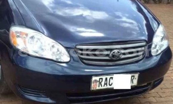 اشتري مستعمل Toyota Corolla Bleu سيارة في Kigali في Rwanda اشتري مستعمل Toyota Corolla Bleu سيارة في Kigali في Rwanda