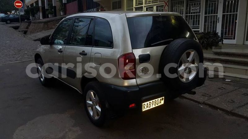 Big with watermark 14572839 1276538899057194 7605807282165903254 n