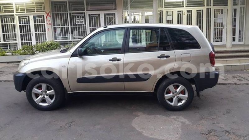 Big with watermark 14937420 10210899464142563 5142262507148257599 n