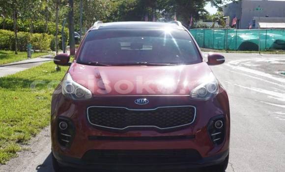 Acheter Import Voiture Kia Sportage Rouge à Byumba, Byumba