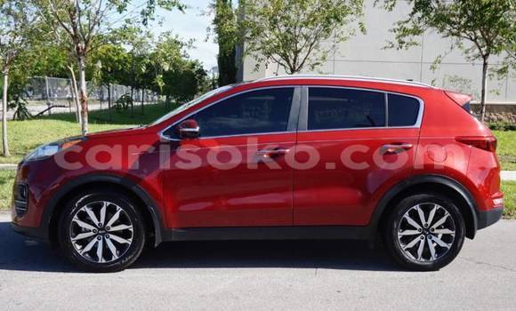 Acheter Import Voiture Kia Sportage Rouge à Byumba, Byumba Acheter Import Voiture Kia Sportage Rouge à Byumba, Byumba