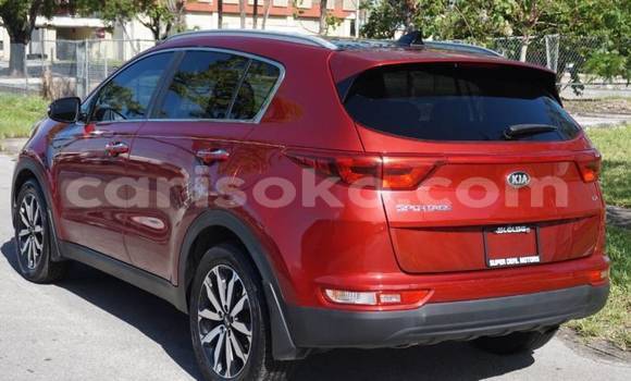 Acheter Import Voiture Kia Sportage Rouge à Byumba, Byumba Acheter Import Voiture Kia Sportage Rouge à Byumba, Byumba