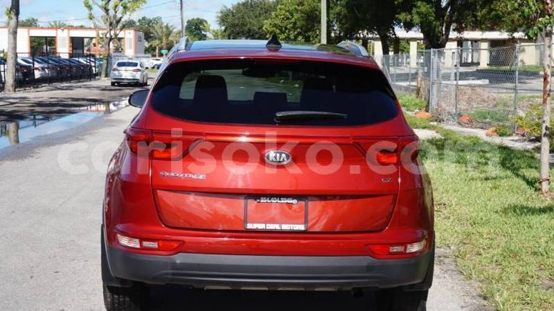 Big with watermark kia sportage byumba byumba 14501