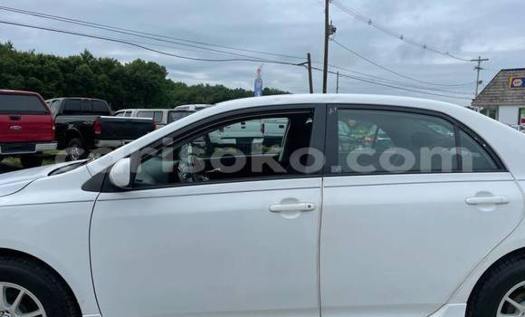 Acheter Import Voiture Toyota Corolla Blanc à Gicumbi, Rwanda Acheter Import Voiture Toyota Corolla Blanc à Gicumbi, Rwanda