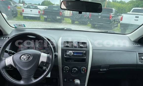 Acheter Import Voiture Toyota Corolla Blanc à Gicumbi, Rwanda Acheter Import Voiture Toyota Corolla Blanc à Gicumbi, Rwanda