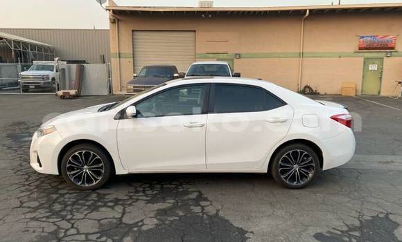 Buy Used Toyota Corolla Beige Car in Kigali in Rwanda Buy Used Toyota Corolla Beige Car in Kigali in Rwanda