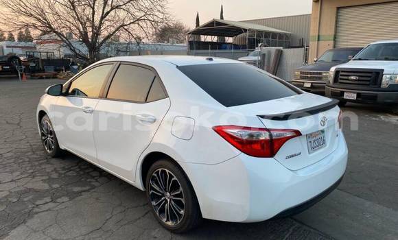 Buy Used Toyota Corolla Beige Car in Kigali in Rwanda Buy Used Toyota Corolla Beige Car in Kigali in Rwanda