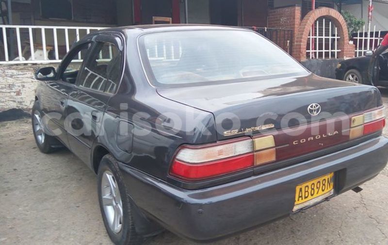 Big with watermark 14572839 1276538899057194 7605807282165903254 n