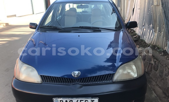 Buy Used Toyota Echo Blue Car in Kigali in Rwanda Buy Used Toyota Echo Blue Car in Kigali in Rwanda