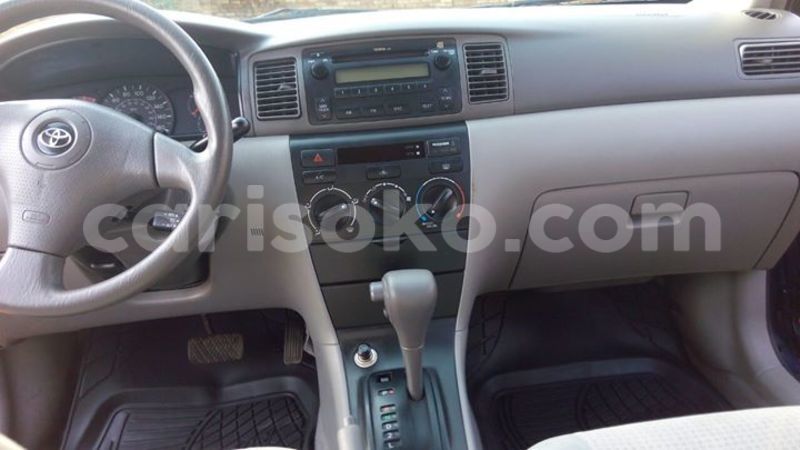 Big with watermark 14695326 1276538865723864 3907257530309395993 n