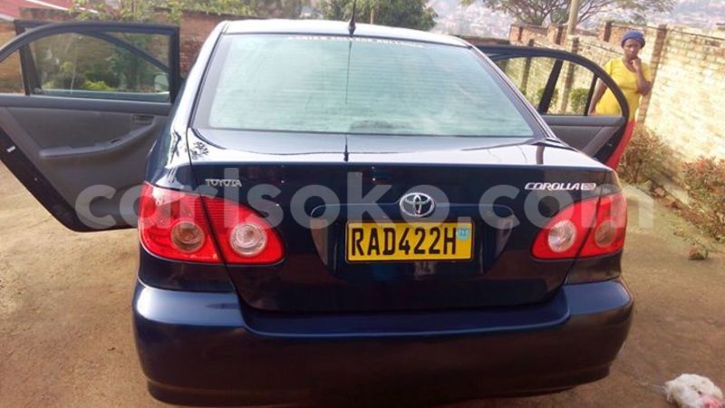 Big with watermark 14572839 1276538899057194 7605807282165903254 n