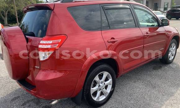 Buy Used Toyota RAV4 Red Car in Kigali in Rwanda Buy Used Toyota RAV4 Red Car in Kigali in Rwanda