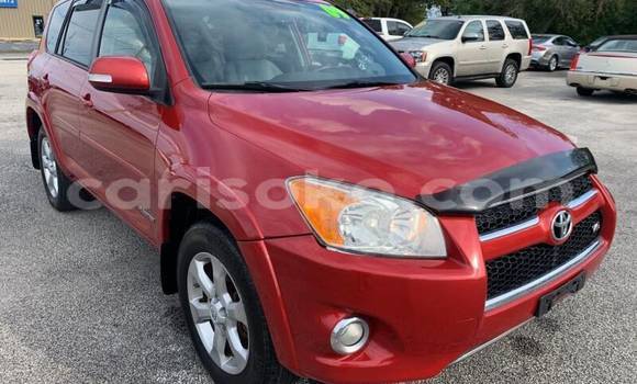 Buy Used Toyota RAV4 Red Car in Kigali in Rwanda Buy Used Toyota RAV4 Red Car in Kigali in Rwanda