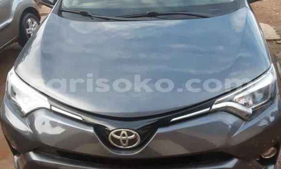 Buy Used Toyota RAV4 Blue Car in Kigali in Rwanda Buy Used Toyota RAV4 Blue Car in Kigali in Rwanda