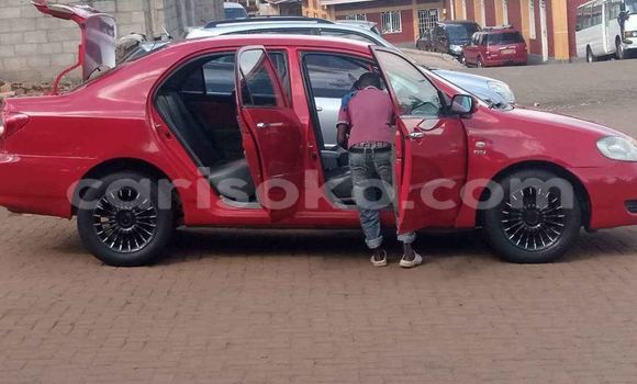 Buy Used Toyota Corolla Red Car in Kigali in Rwanda Buy Used Toyota Corolla Red Car in Kigali in Rwanda