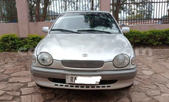 Buy Used Toyota Corolla Silver Car in Kigali in Rwanda Buy Used Toyota Corolla Silver Car in Kigali in Rwanda