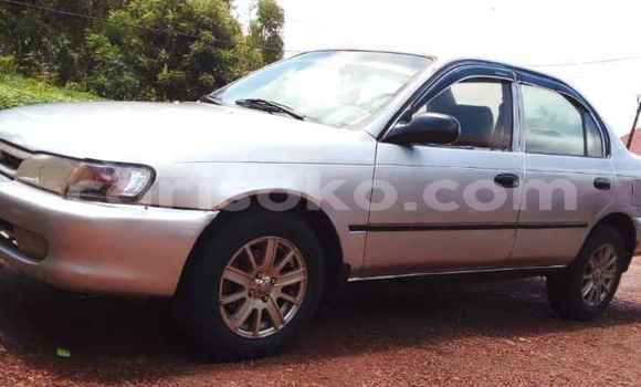 Buy Used Toyota Corolla Silver Car in Kigali in Rwanda Buy Used Toyota Corolla Silver Car in Kigali in Rwanda