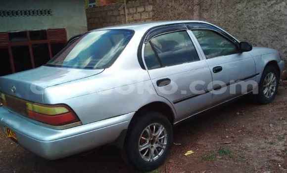 Buy Used Toyota Corolla Silver Car in Kigali in Rwanda Buy Used Toyota Corolla Silver Car in Kigali in Rwanda