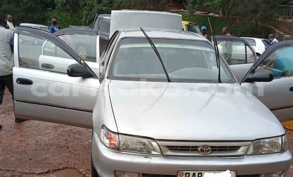 Buy Used Toyota Corolla Silver Car in Kigali in Rwanda Buy Used Toyota Corolla Silver Car in Kigali in Rwanda