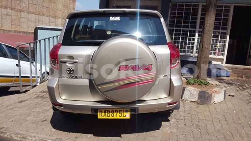 Big with watermark 14695326 1276538865723864 3907257530309395993 n