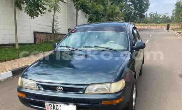 Buy Used Toyota Corolla Green Car in Kigali in Rwanda Buy Used Toyota Corolla Green Car in Kigali in Rwanda