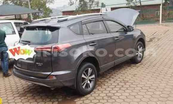 Buy Used Toyota RAV4 Black Car in Kigali in Rwanda Buy Used Toyota RAV4 Black Car in Kigali in Rwanda