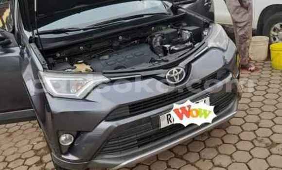 Buy Used Toyota RAV4 Black Car in Kigali in Rwanda Buy Used Toyota RAV4 Black Car in Kigali in Rwanda