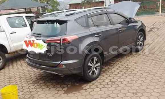Buy Used Toyota RAV4 Black Car in Kigali in Rwanda Buy Used Toyota RAV4 Black Car in Kigali in Rwanda