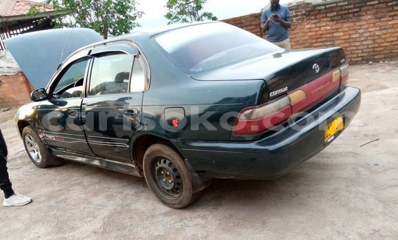 Buy Used Toyota Corolla Green Car in Kigali in Rwanda Buy Used Toyota Corolla Green Car in Kigali in Rwanda