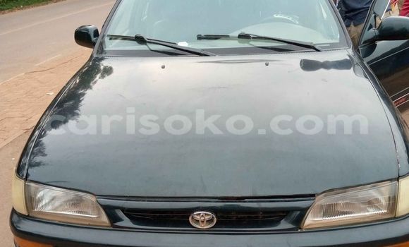 Buy Used Toyota Corolla Green Car in Kigali in Rwanda Buy Used Toyota Corolla Green Car in Kigali in Rwanda