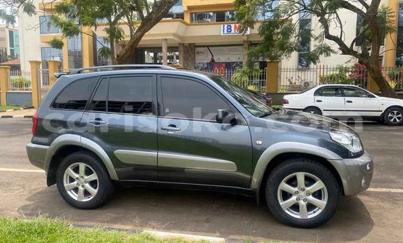 Buy Used Toyota RAV4 Black Car in Kigali in Rwanda Buy Used Toyota RAV4 Black Car in Kigali in Rwanda