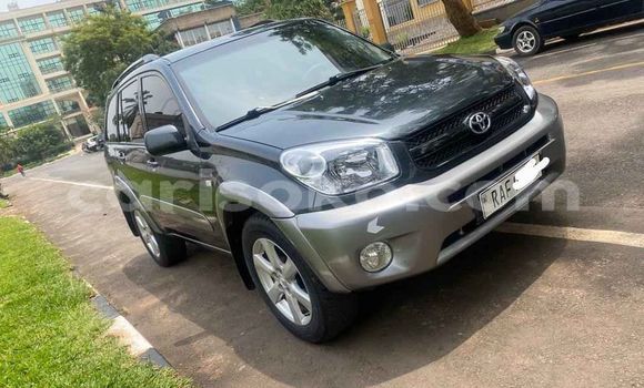 Buy Used Toyota RAV4 Black Car in Kigali in Rwanda Buy Used Toyota RAV4 Black Car in Kigali in Rwanda