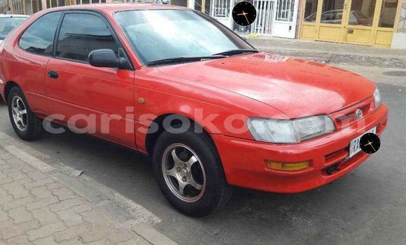 Buy Used Toyota Corolla Red Car in Kigali in Rwanda Buy Used Toyota Corolla Red Car in Kigali in Rwanda