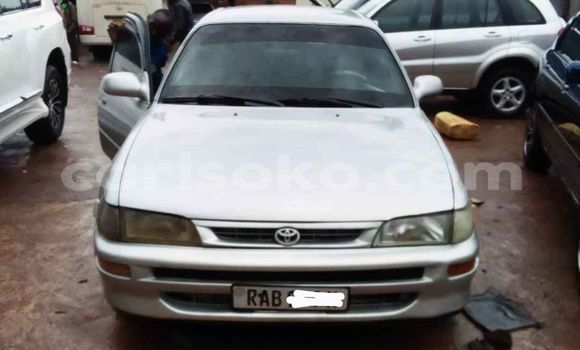Buy Used Toyota Corolla Silver Car in Kigali in Rwanda Buy Used Toyota Corolla Silver Car in Kigali in Rwanda