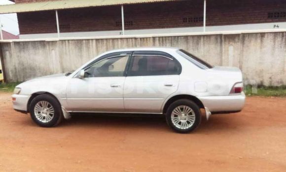 Buy Used Toyota Corolla Silver Car in Kigali in Rwanda Buy Used Toyota Corolla Silver Car in Kigali in Rwanda