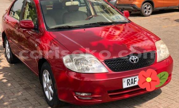 Buy Used Toyota Corolla Red Car in Kigali in Rwanda Buy Used Toyota Corolla Red Car in Kigali in Rwanda