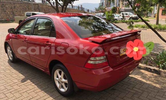Buy Used Toyota Corolla Red Car in Kigali in Rwanda Buy Used Toyota Corolla Red Car in Kigali in Rwanda