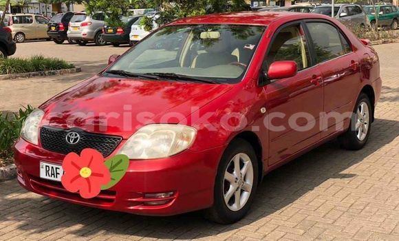 Buy Used Toyota Corolla Red Car in Kigali in Rwanda Buy Used Toyota Corolla Red Car in Kigali in Rwanda
