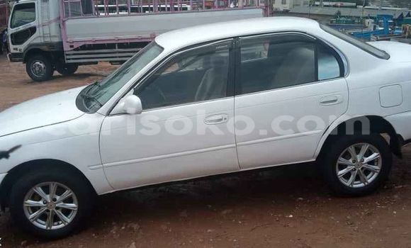 Buy Used Toyota Corolla White Car in Kigali in Rwanda Buy Used Toyota Corolla White Car in Kigali in Rwanda