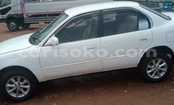 Buy Used Toyota Corolla White Car in Kigali in Rwanda Buy Used Toyota Corolla White Car in Kigali in Rwanda