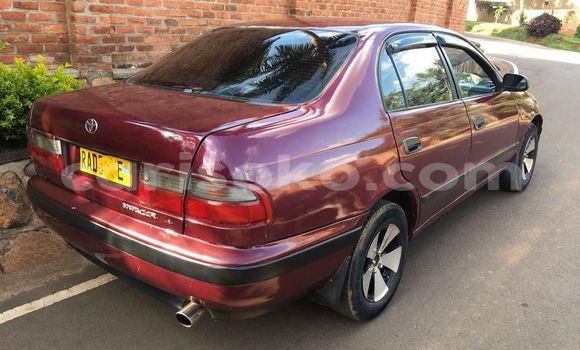 Buy Used Toyota Carina Red Car in Kigali in Rwanda Buy Used Toyota Carina Red Car in Kigali in Rwanda
